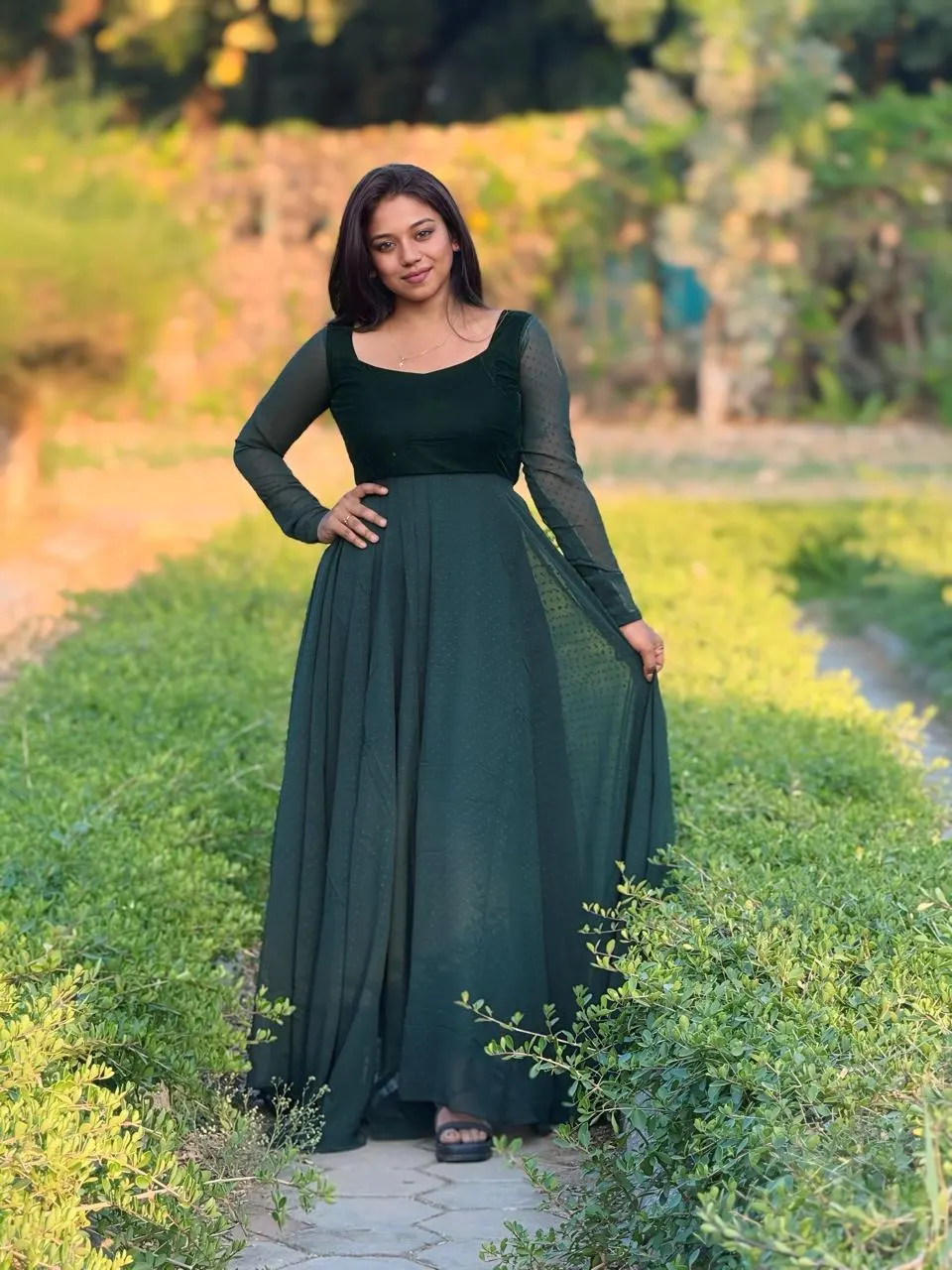 Elegant Velvet Yoke Georgette Gown